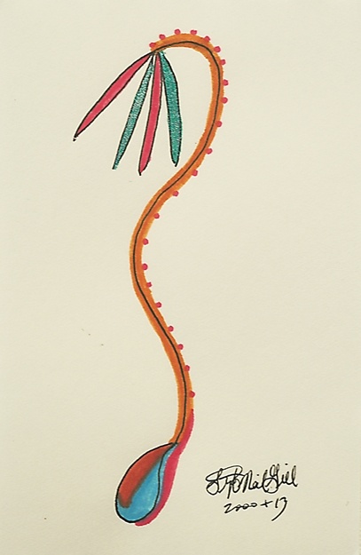 seedling, seed,