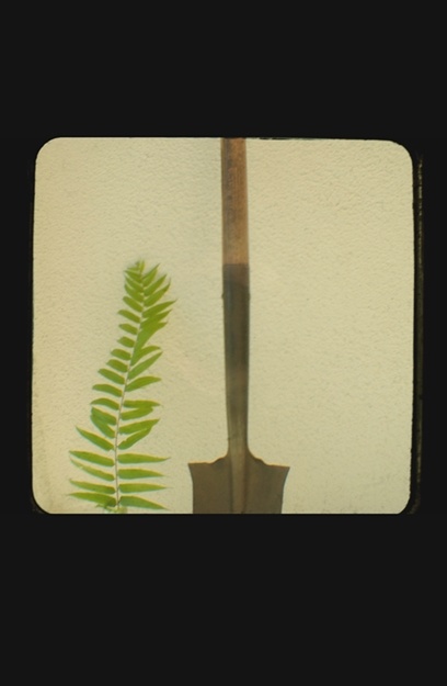 fern, shovel, garden, tool,