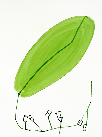 photosynthisis, c6 h12 06, leaf, oxygen,