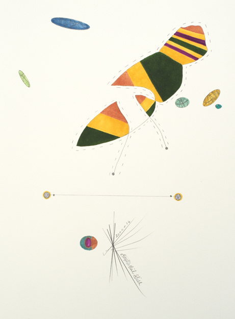 insect, 2016,