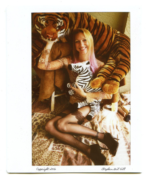 tiger, plush, zebra,
