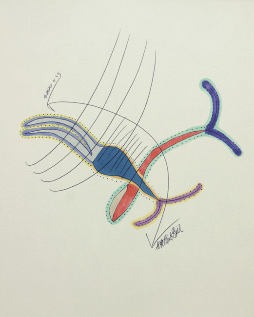 squid, baby whale, abstract expressionism