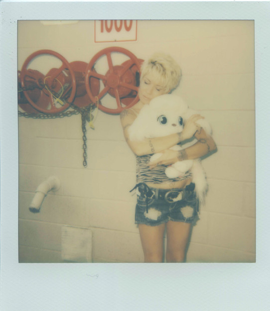 jesse, puppy, dog,