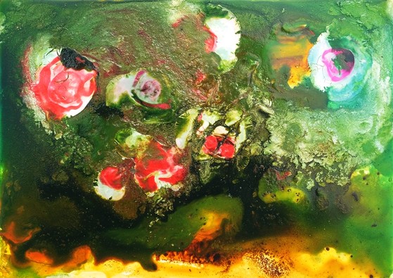 green algae