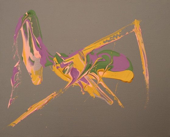 insect, praying mantis, dolphin, evolution,
