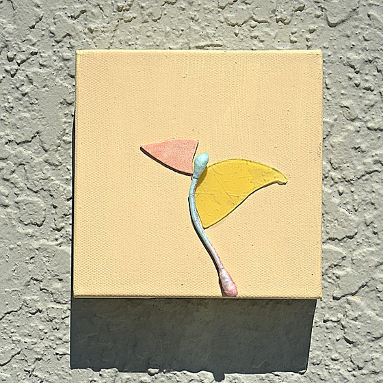 takeoff,birdinflight,stephenneilgill,