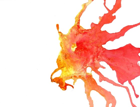 scorpionfish, zebrafish, venom, atlanic coast