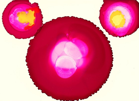 polypropylene,