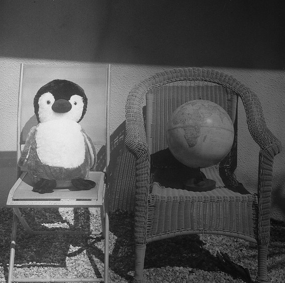 penguin, global warming, plushie, globe,