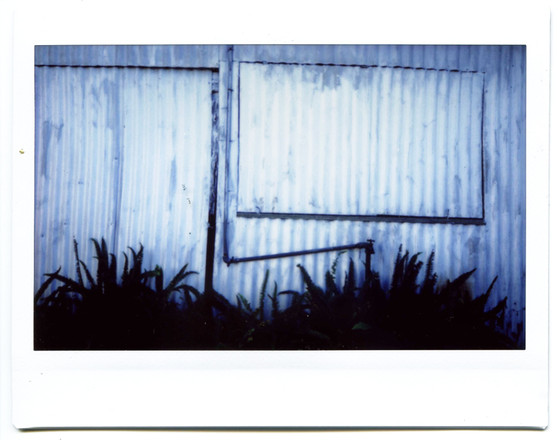 corregated metal, estero,